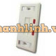 Mặt nạ 2-port Faceplate COMMSCOPE (272368-2)