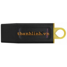 Ổ đĩa USB 3.2 128GB KINGSTON DTX/128GB