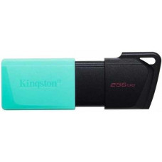 Ổ đĩa USB 3.2 256GB KINGSTON DTXM/256GB