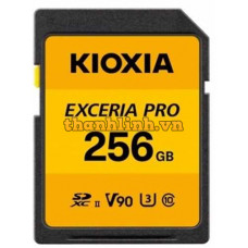 Thẻ nhớ 256GB Kioxia LNPR1Y256GG4