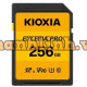 Thẻ nhớ 256GB Kioxia LNPR1Y256GG4