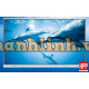 Màn hình tương tác thông minh Promethean ActivePanel 9