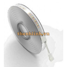 Đèn led dây 5met Orbivo LS20N