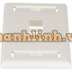 Nắp chụp mạng NK 2-port, single gang, flush mount faceplate with labels Panduit NK2FIWY