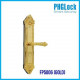 Khóa cửa cho biệt thự, căn hộ sang trọng PHGLOCK FP5006 (Gold)