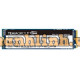 Ổ cứng SSD TeamGroup MP33 256GB M.2 PCIe Gen3x4 (TM8FP6256G0C101)