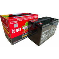 Ắc quy ECOTEK, ECT-UP12100VA18,12V100AH