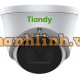 Camera IP 2MP Dome camera, PoE,Mic, IR 30m, IP67, Lighting 6KV, Tiandy TC-C32XN