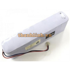 Ắc quy TOA model NDC-2460