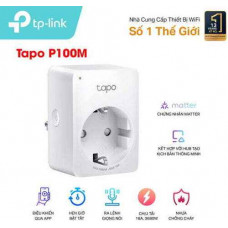 Ổ cắm thông minh TP-Link Tapo P100M (2 chấu tròn)