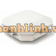 EVEREST AP1004WRe, thiết bị wifi ngoài trời, Wave 2, tốc độ 5 Gbps, 1,000 Active Clients