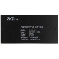 Bộ lưu điện cho hệ thống kiểm soát, chấm công ZKTeco P1203-A1